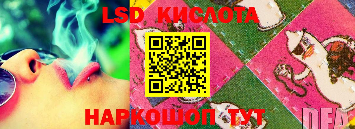 Электрогорск  LSD-25 экстази кислота  Вход с VPN  Лсд 25 экстази кислота 