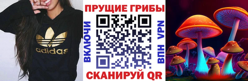 Галлюциногенные грибы Psilocybe  закладка  Электрогорск 