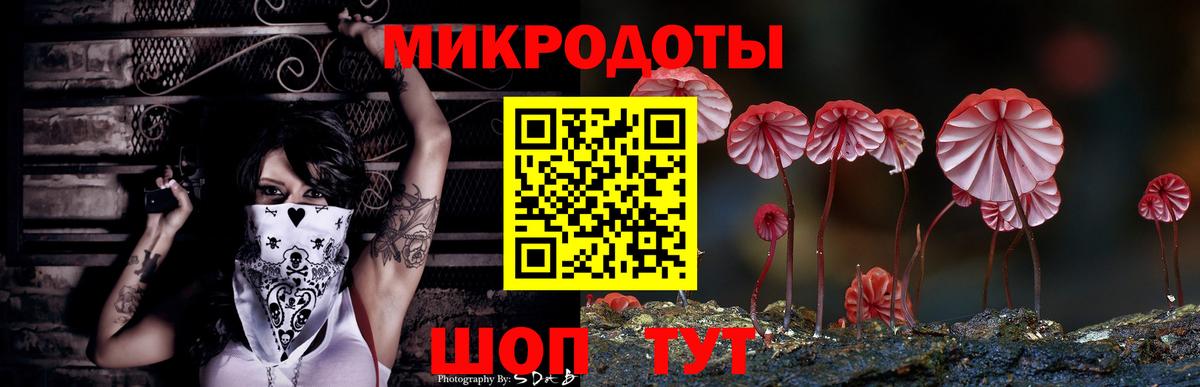 Псилоцибиновые грибы MAGIC MUSHROOMS  Вход с VPN  Электрогорск 